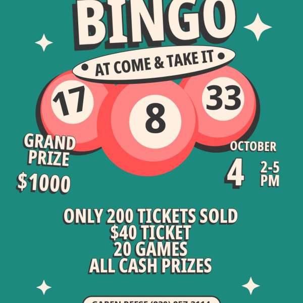 bingo bingo